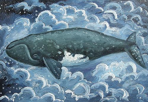 Right Whale in Blue