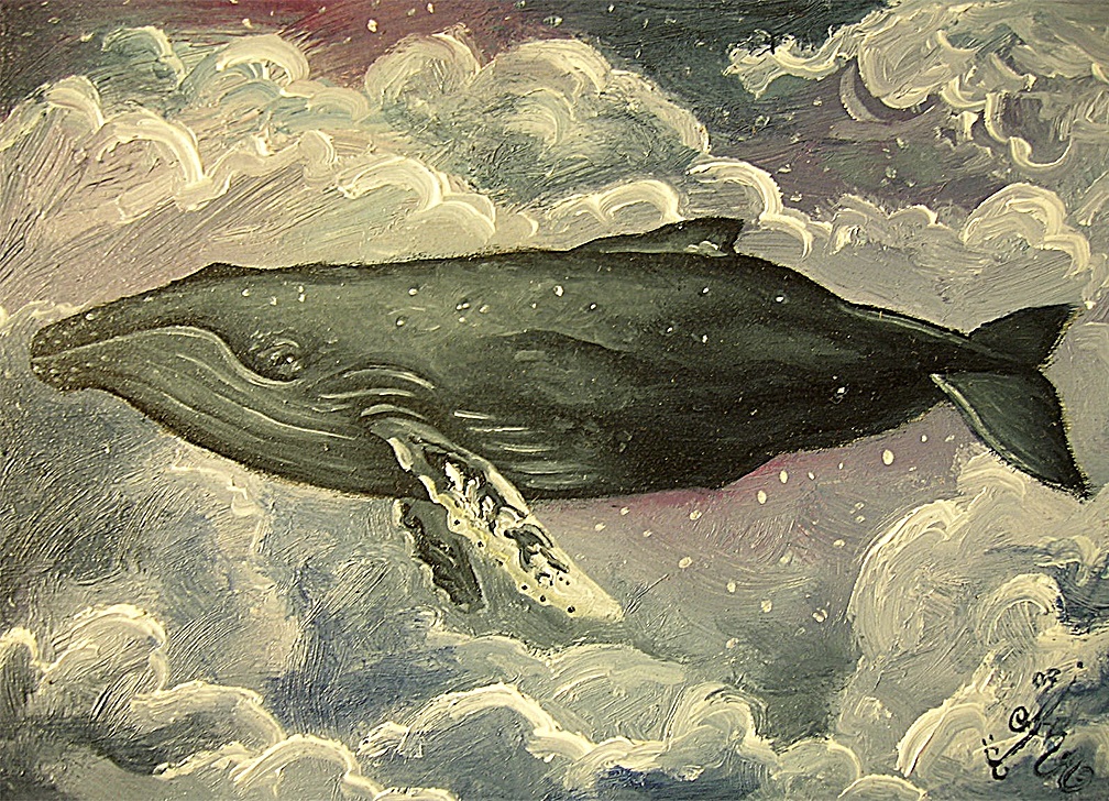 whale