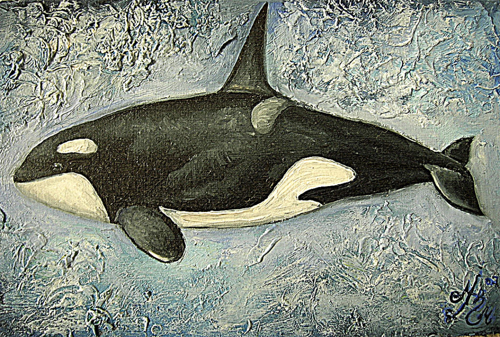 orca